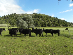 Sierras del sistema Tandilia Estancia Reserva Privada Paititi