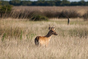 PN Campos del Tuyu