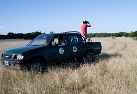 Campo Ganadero Los Nanduces