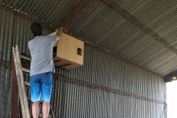 Instalando cajas nido en un campo