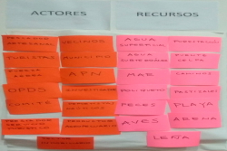resultados del proceso ARDI
